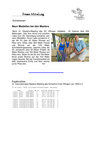 2014-04_Master_Villingen.pdf