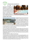 Bericht_VfL_Magazin_1.pdf