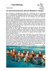 2017-11Villingen.pdf