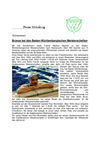 2017-04_BW_NeckarsulmDagersh.pdf
